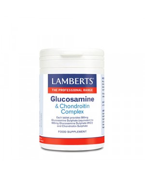 glucosamin and chondroitin