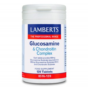 glucosamine and chondroitin 120